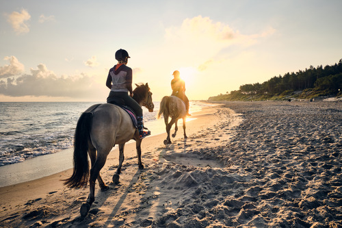 horseback riding on the beach