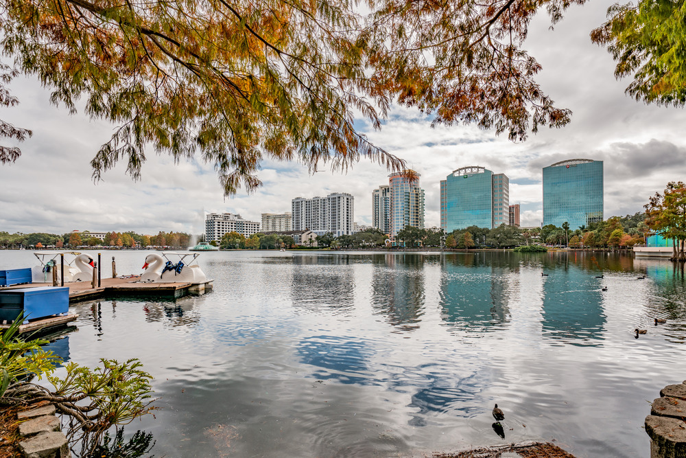 Swan Boat Ride in Lake Eola