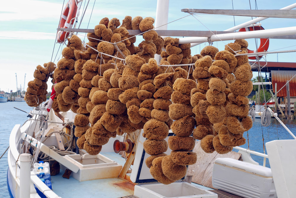 Sponges hang on a boat at the Tarpon Springs sponge docks